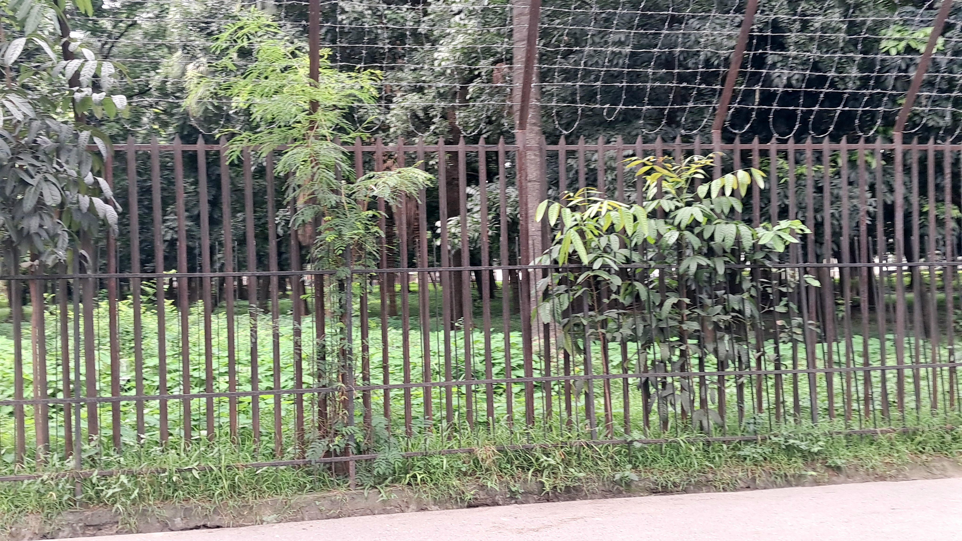 1000295131.jpg