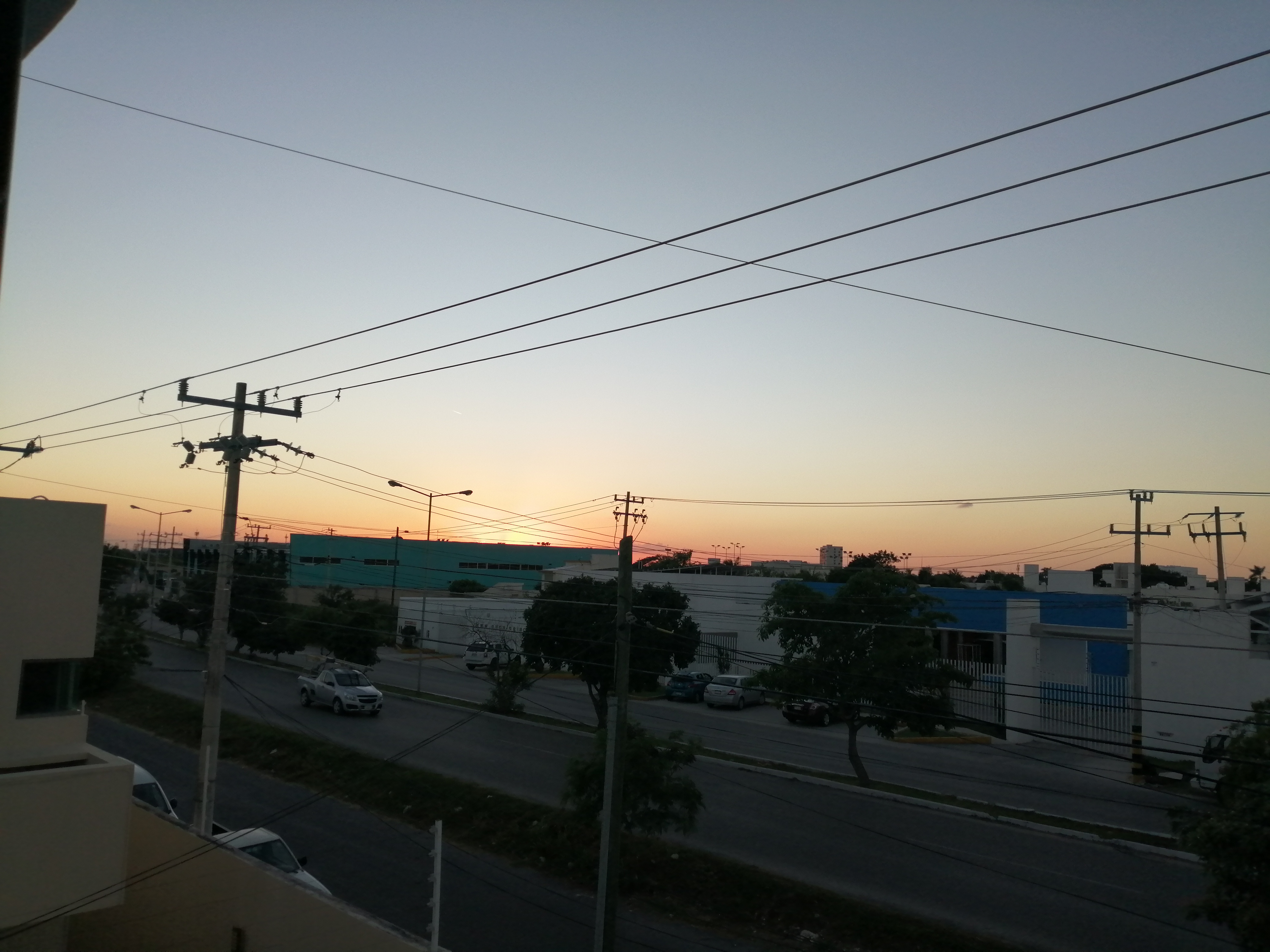 IMG_20201125_171343.jpg