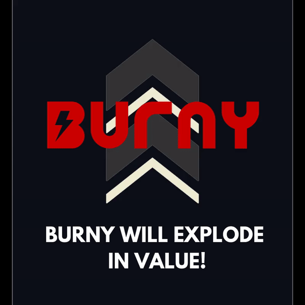 1BURNYEX.gif