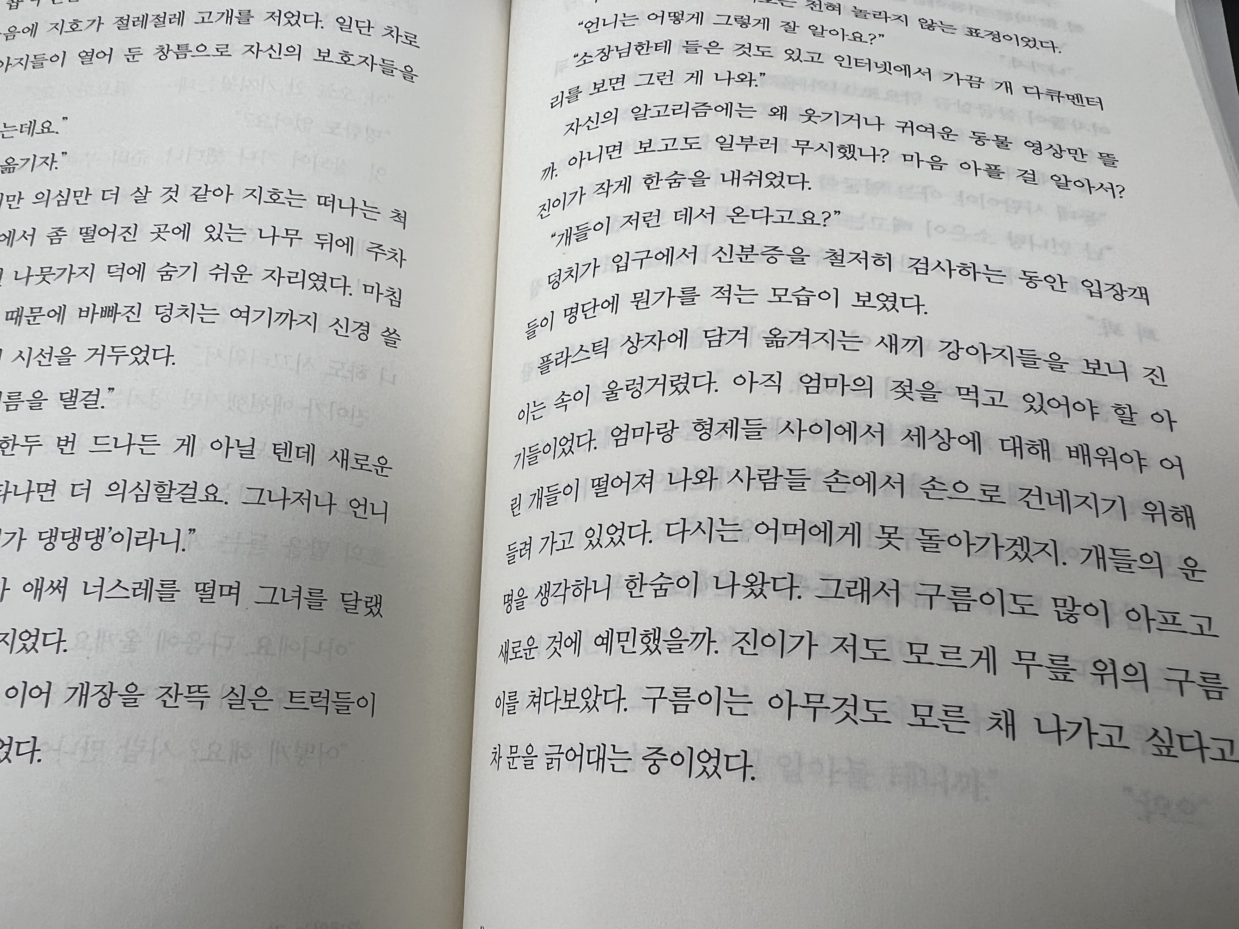 KakaoTalk_20260611_140616823.jpg