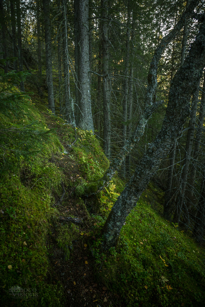 _MG_0409.jpg