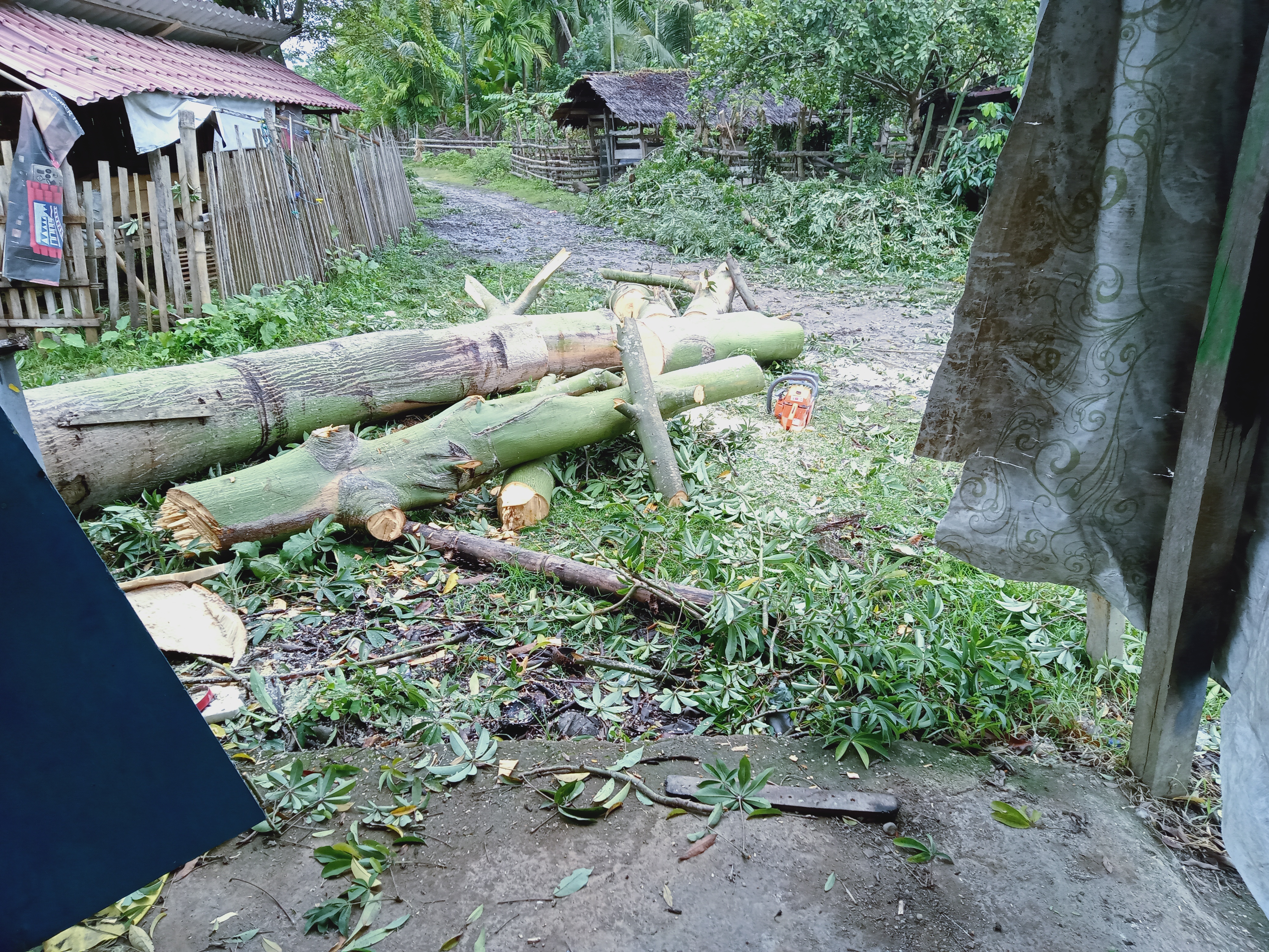 IMG20210819153834.jpg