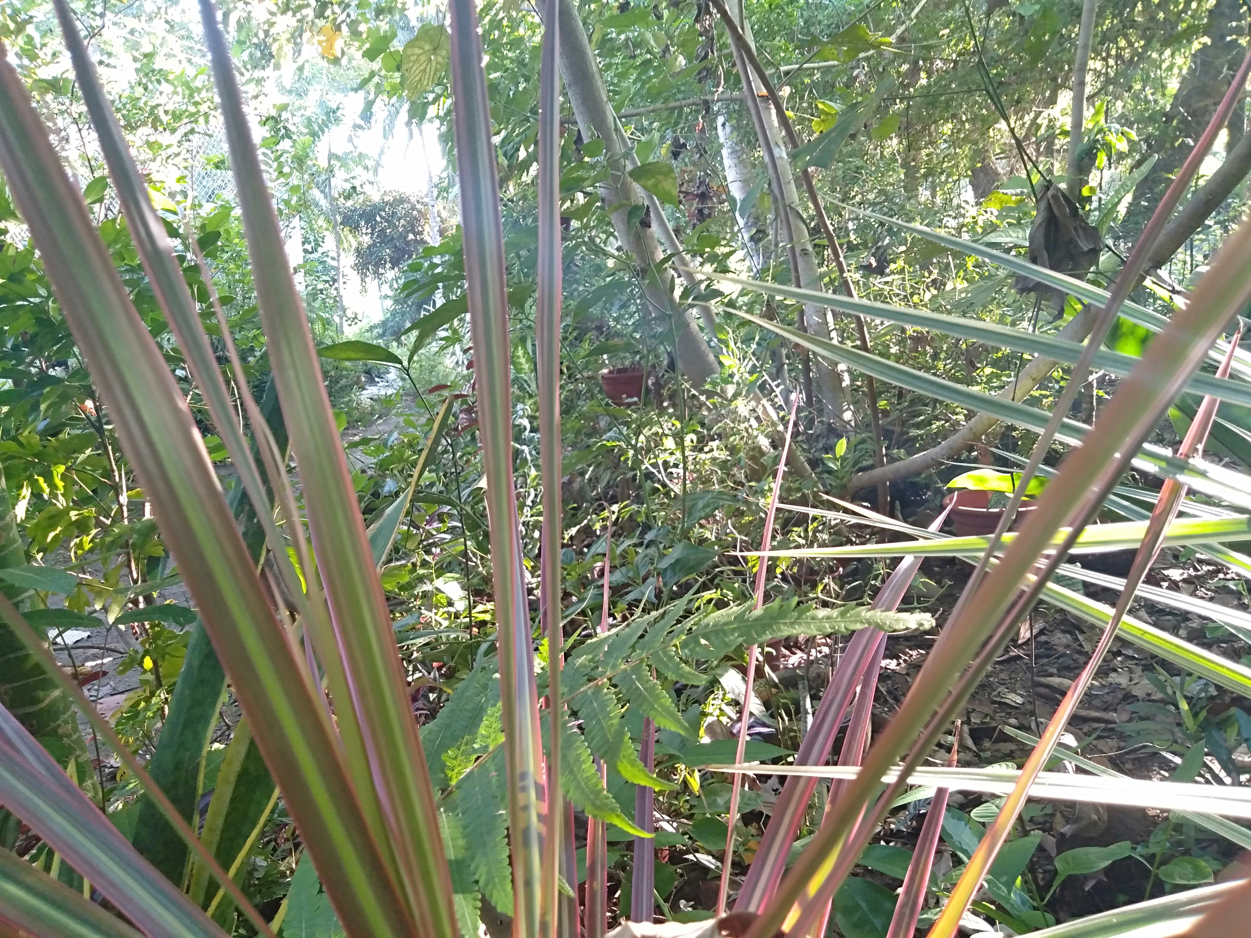 IMG20220913072335.jpg