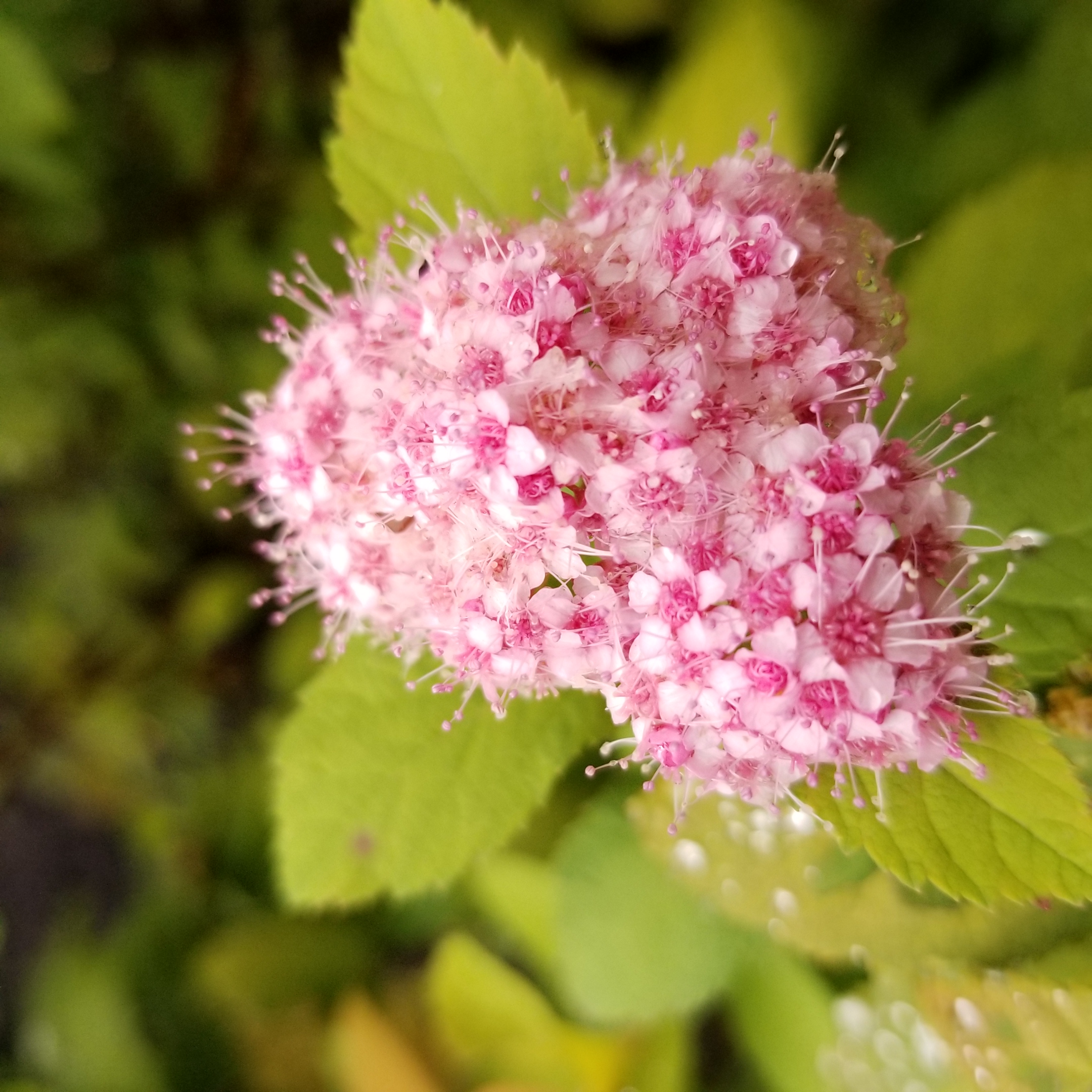 20180725_095228.jpg