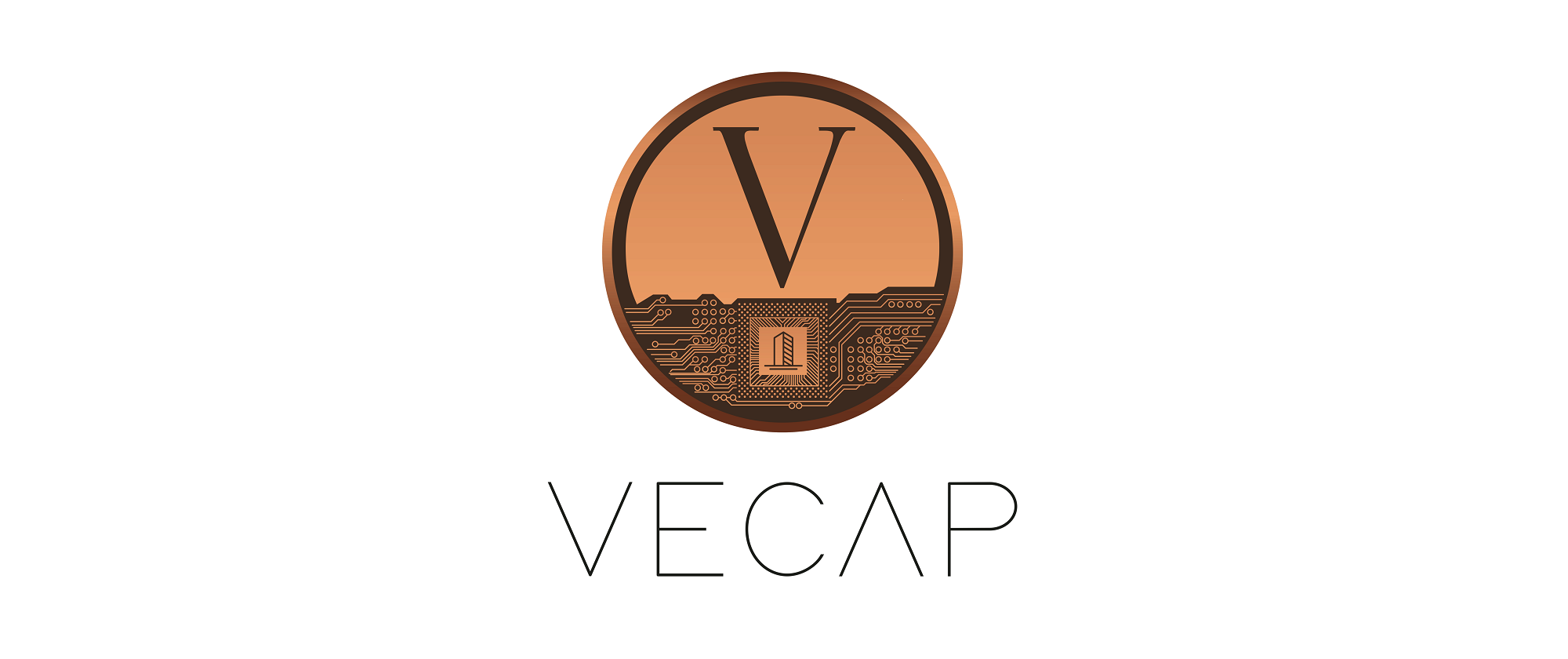 VECAP_KAPAK.png