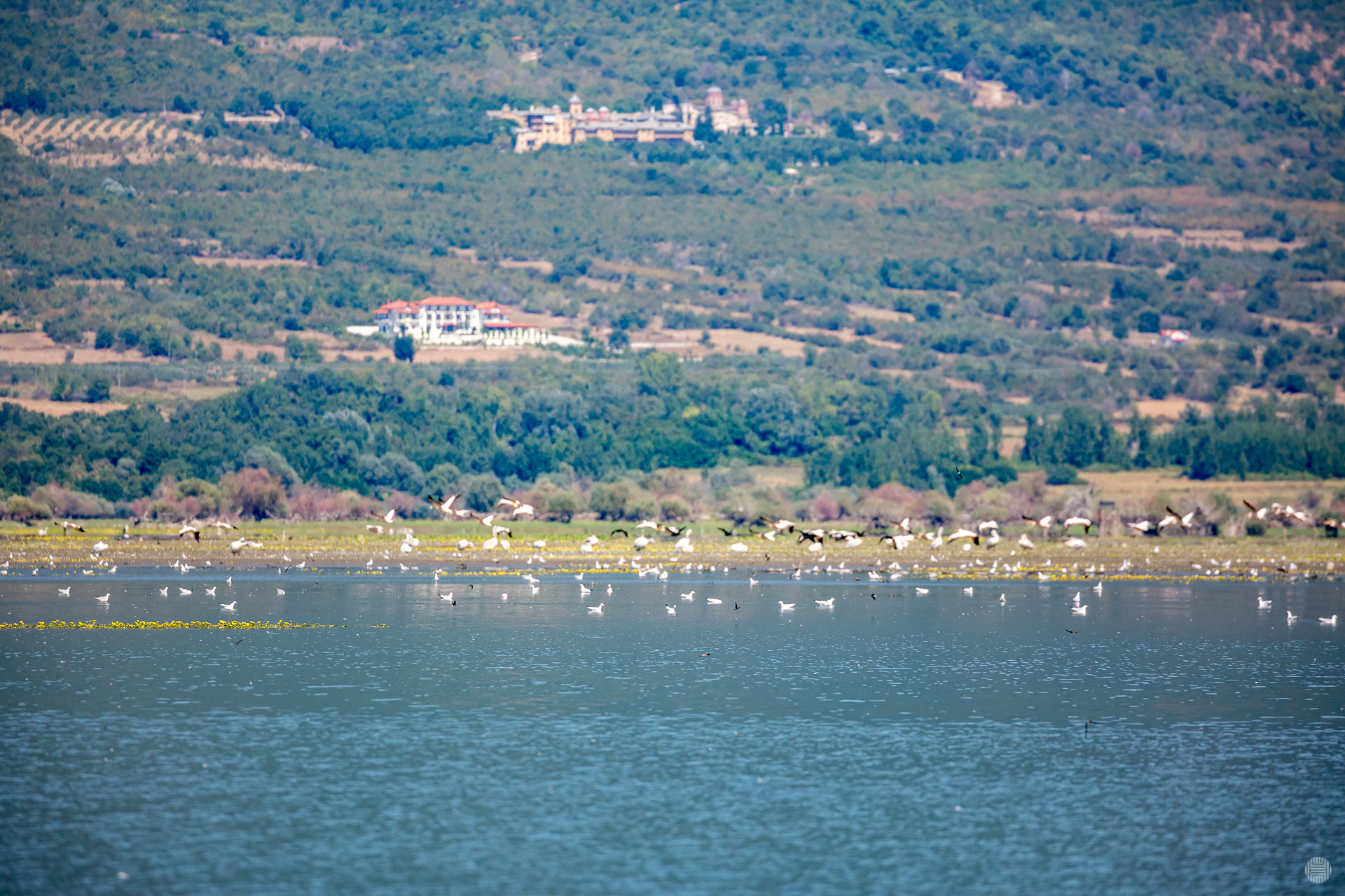 DDH_6103.jpg