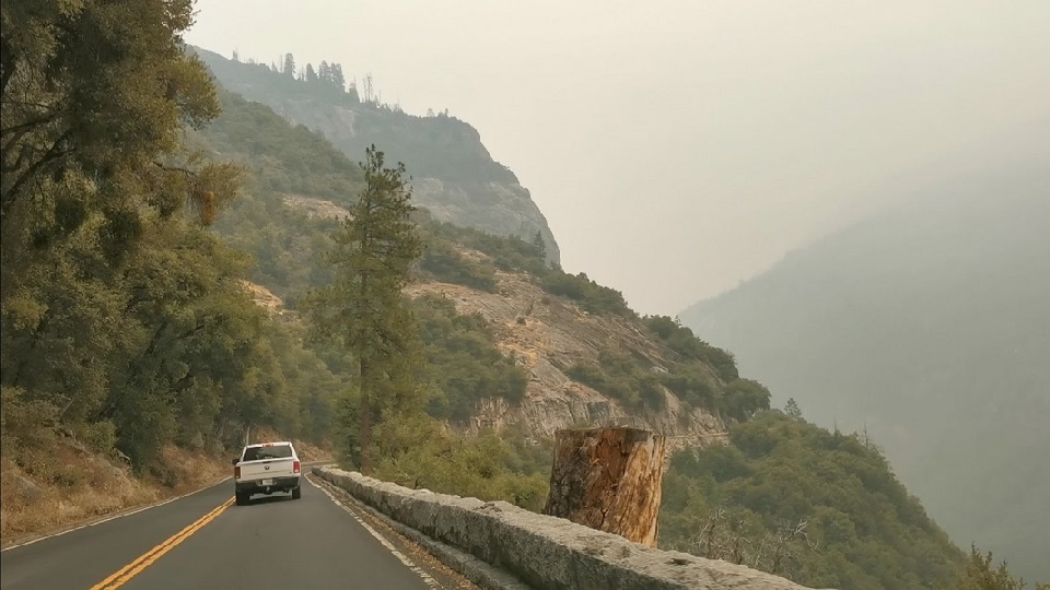 n1.jpg