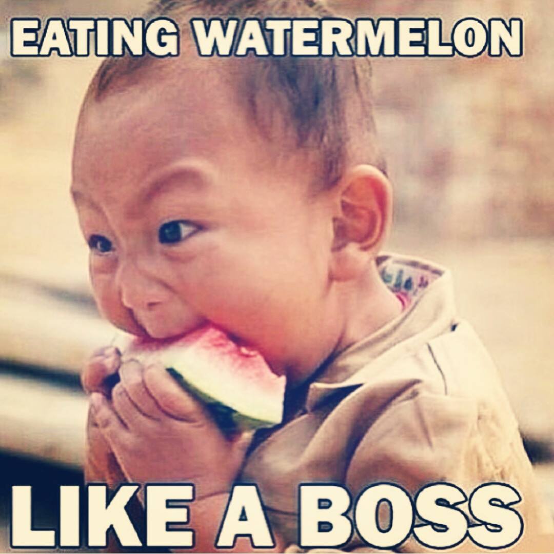 Я Голодная Прикольные Картинки - нашлось 60 Фотo