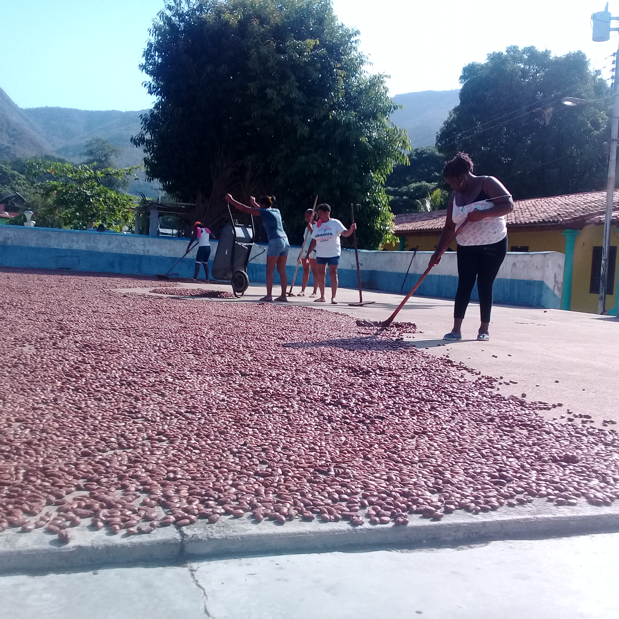 20180601_084657.jpg