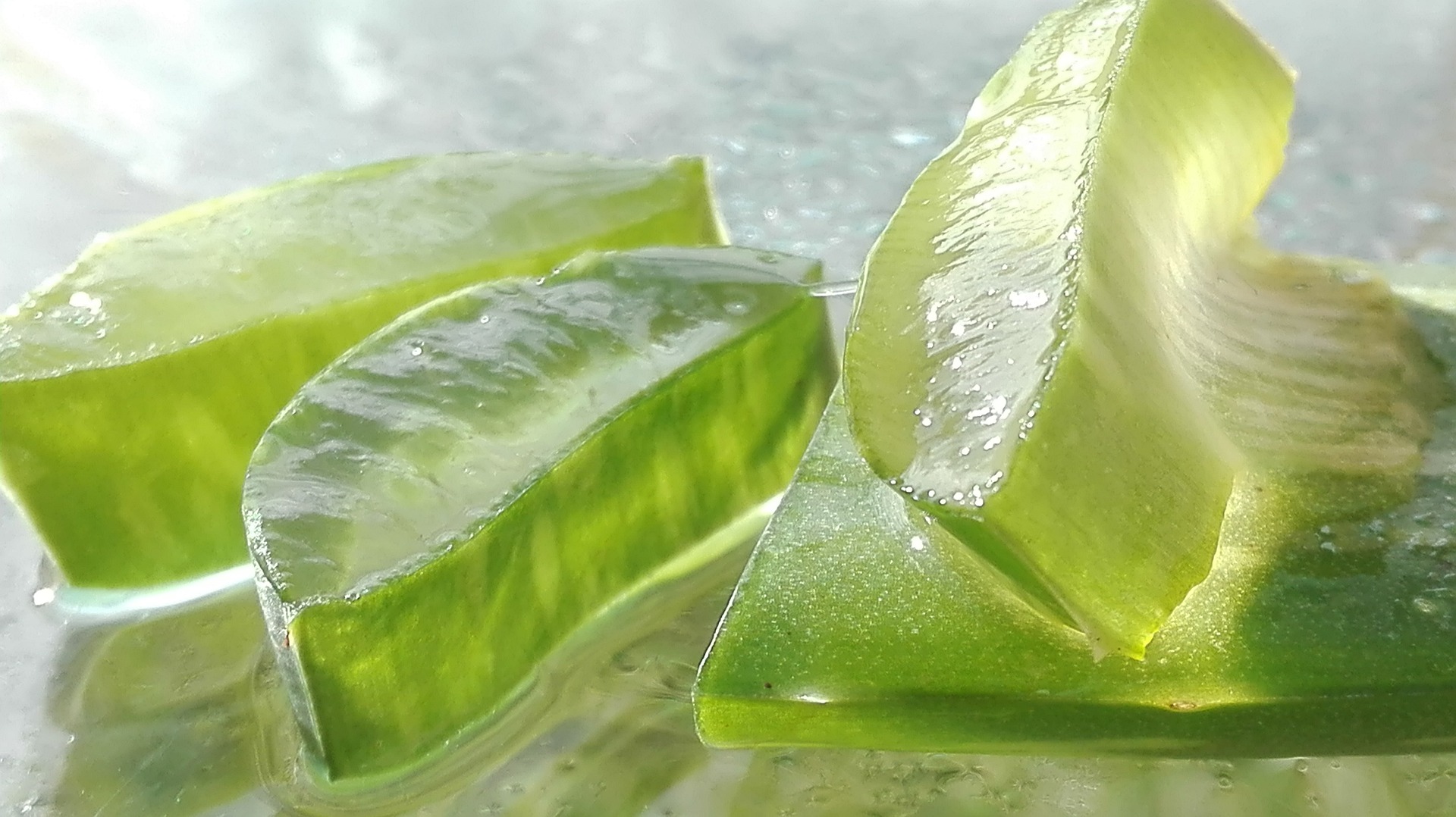 aloe-4268793_1920.jpg