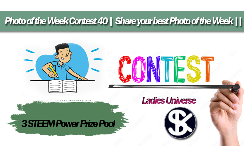contest40.jpg