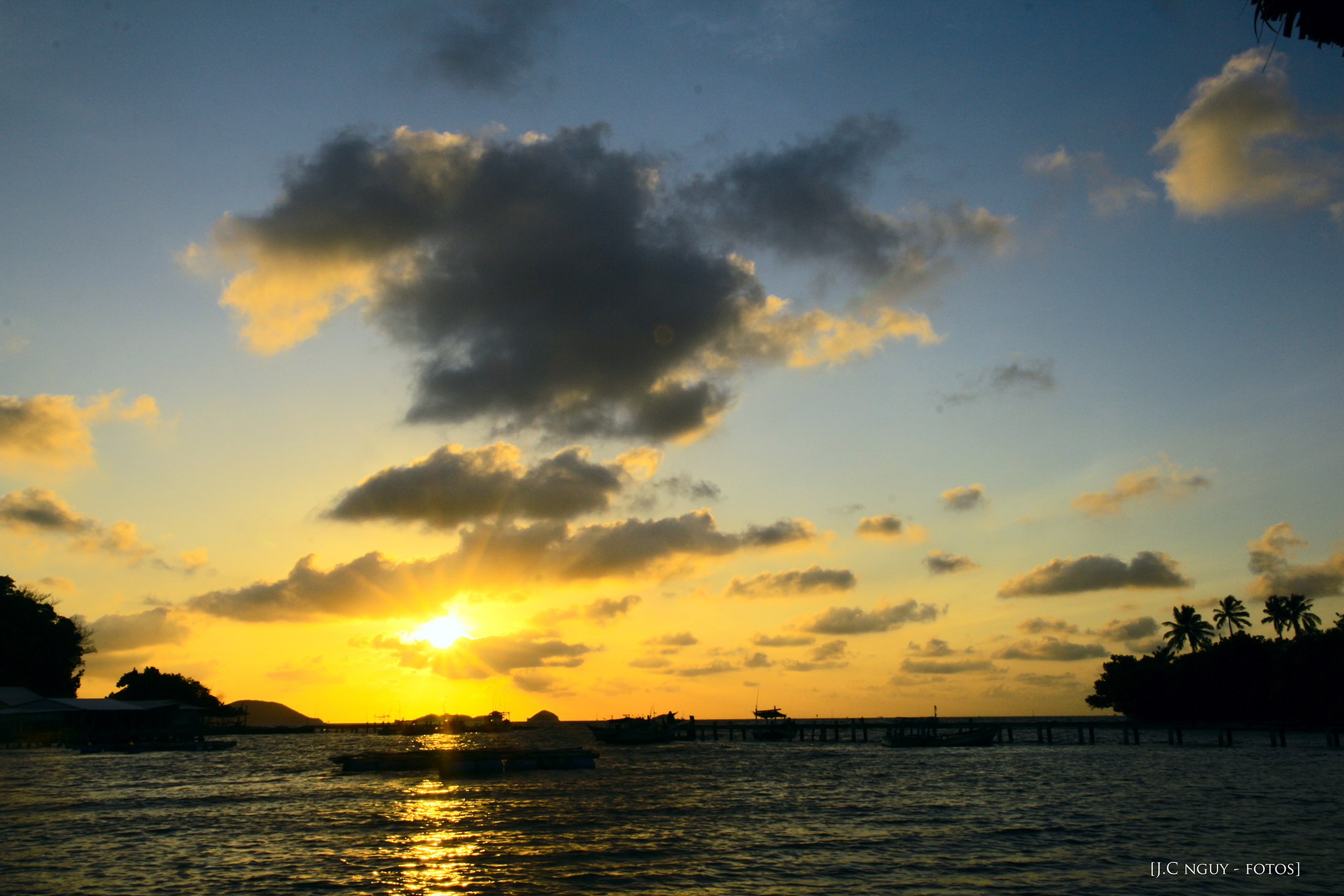 IMG_0281.png