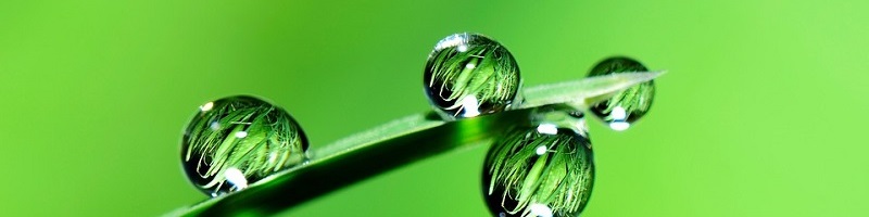 water-2986837_960_720.jpg