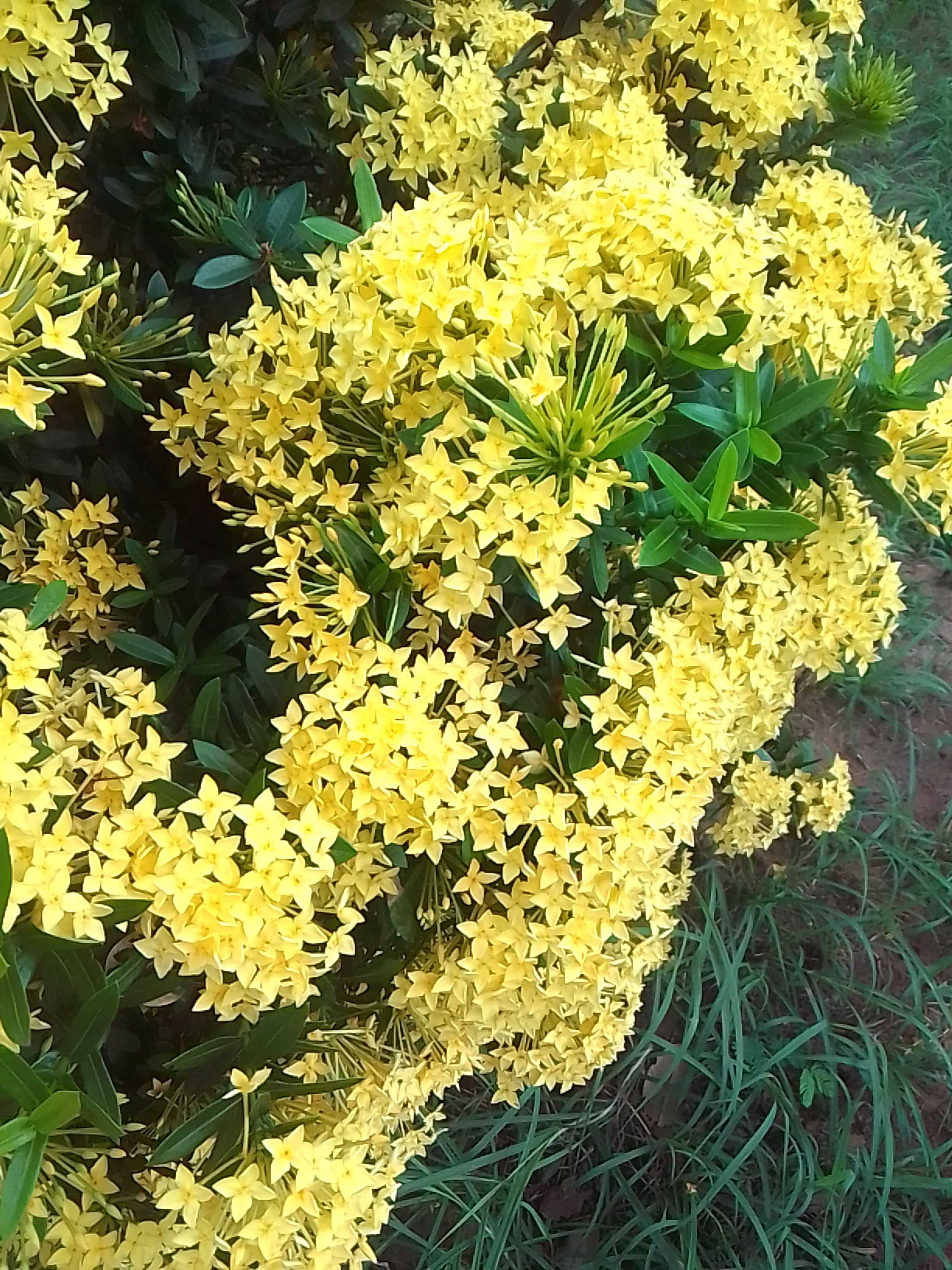 IMG_20230813_094408.jpg