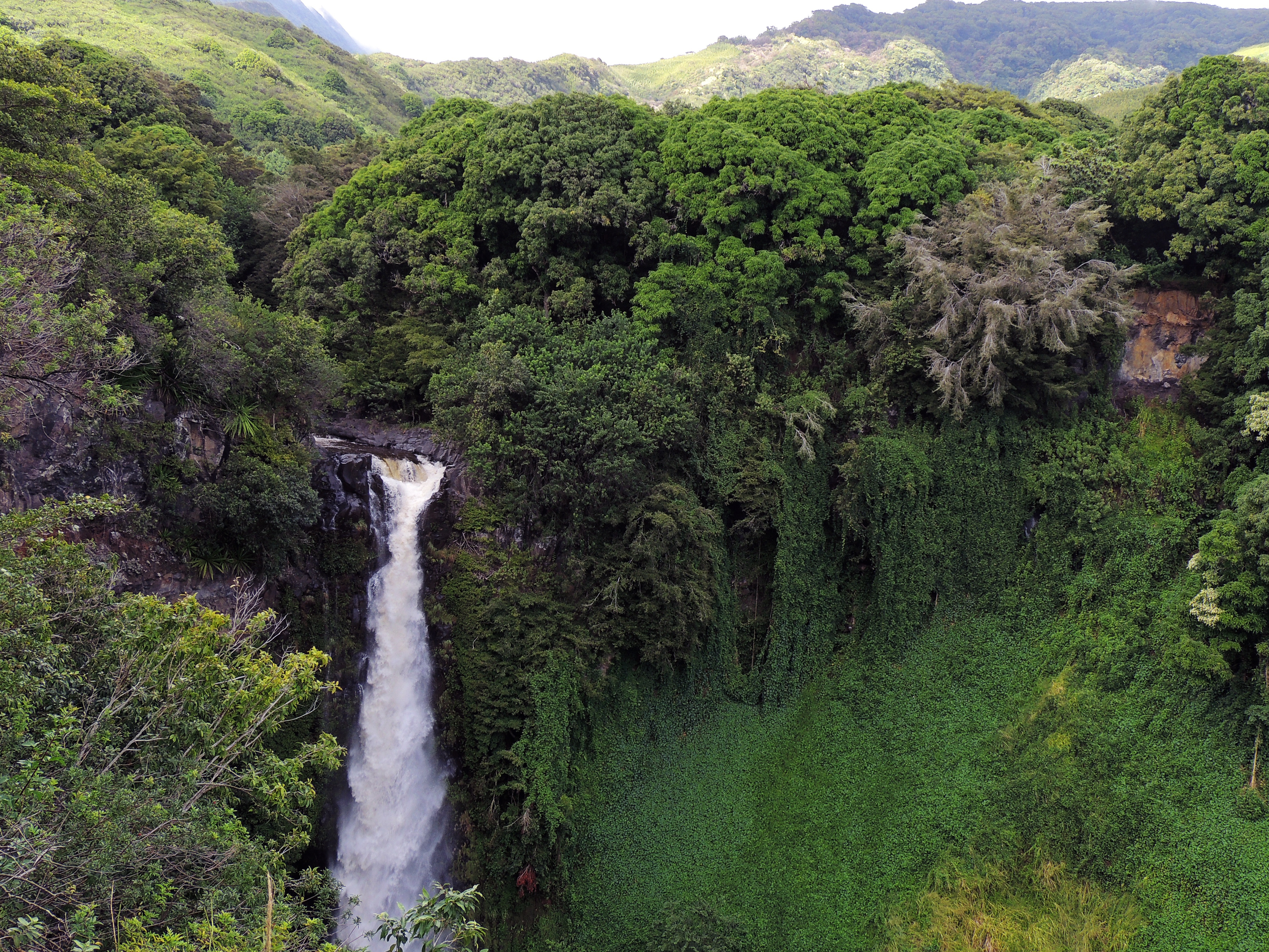 hawaii-410128.jpg