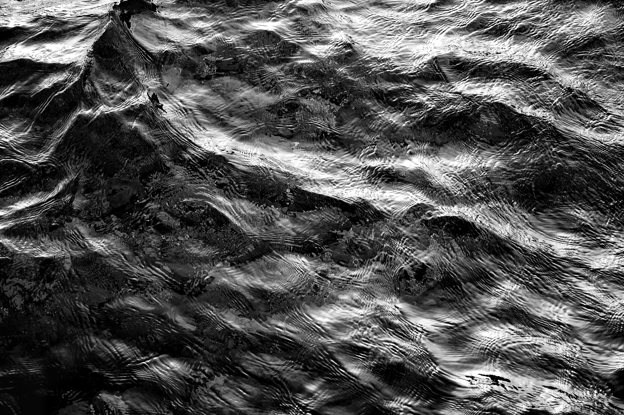 DSC_4499ΟΞΌ-01.jpeg