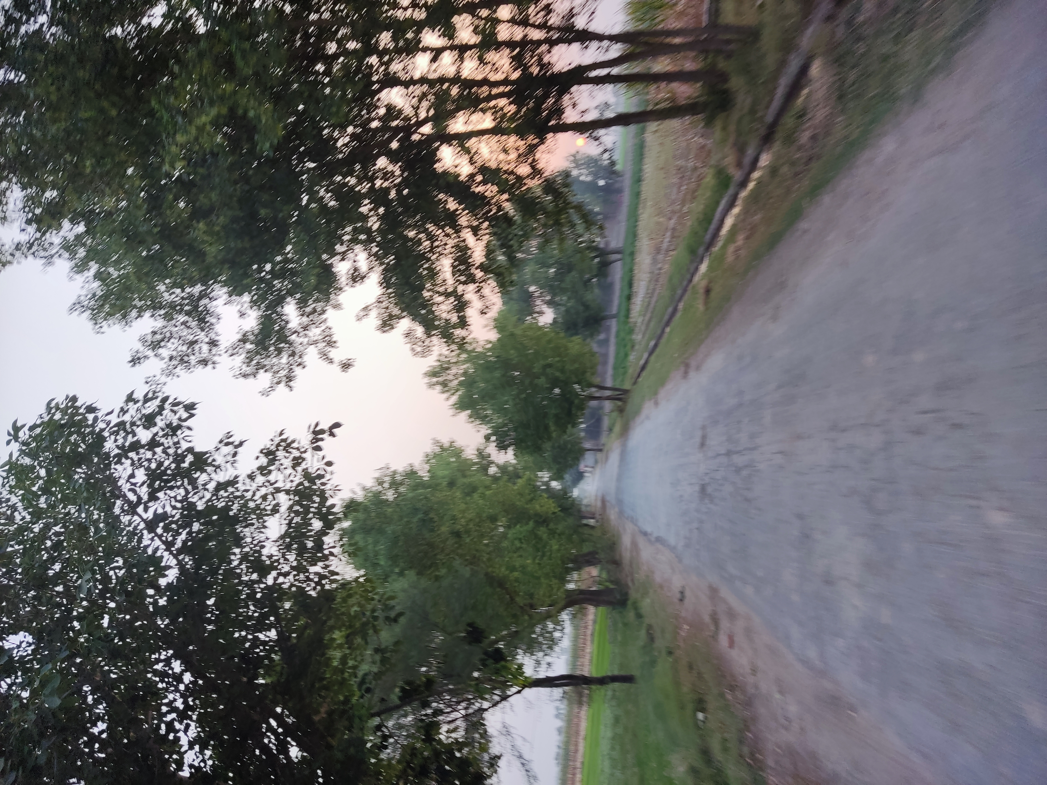 IMG_20210606_184908.jpg