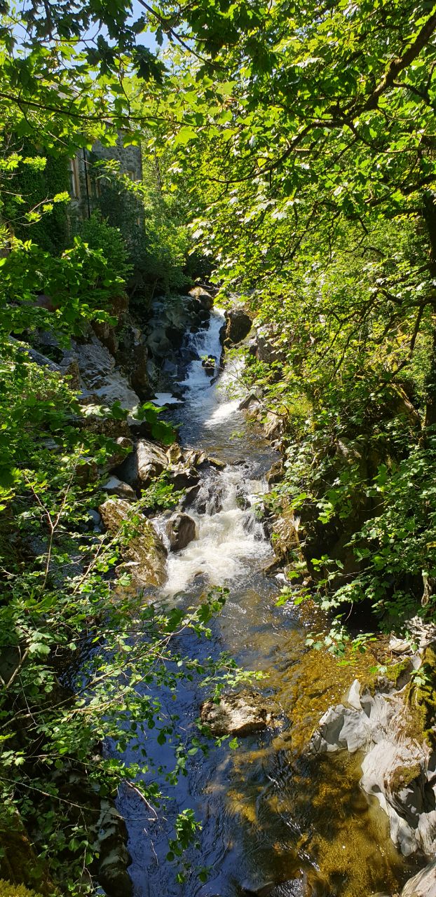 IMAGE 2019-07-04 09:26:59.jpg