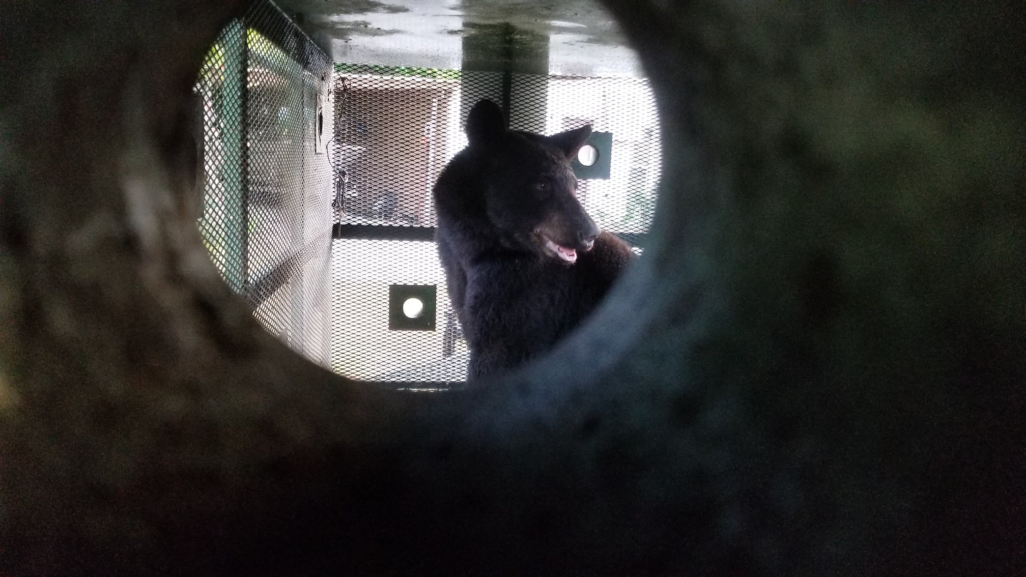 20180504_072637.jpg