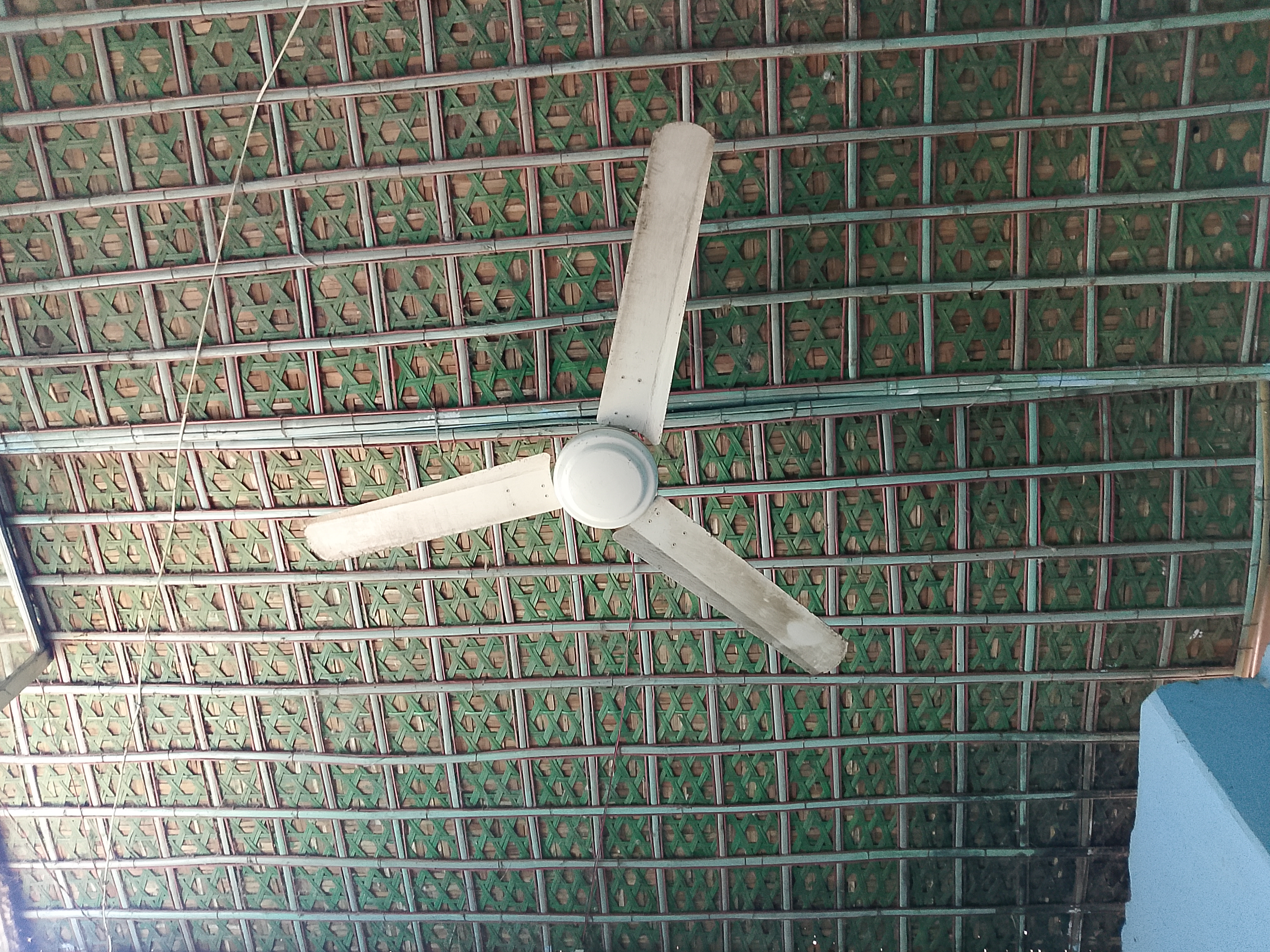 1000068509.jpg