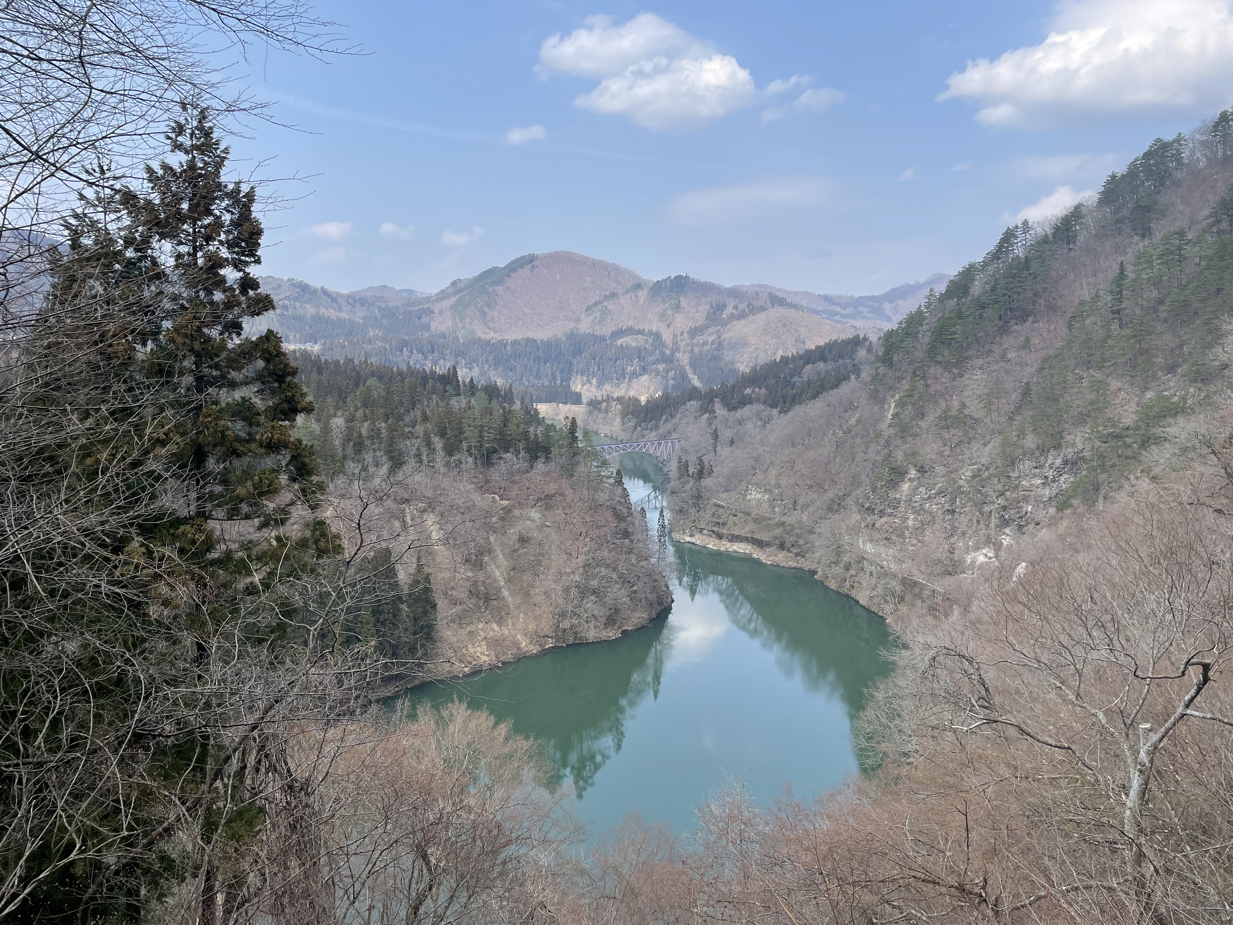 IMG_8003.jpeg