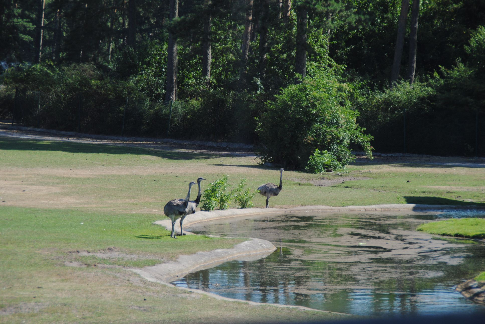 image021.jpg