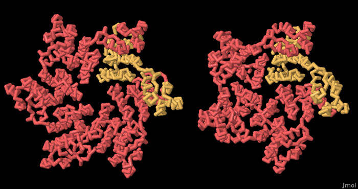163-HIVCapsid_3mge_3p05_jmol.jpg