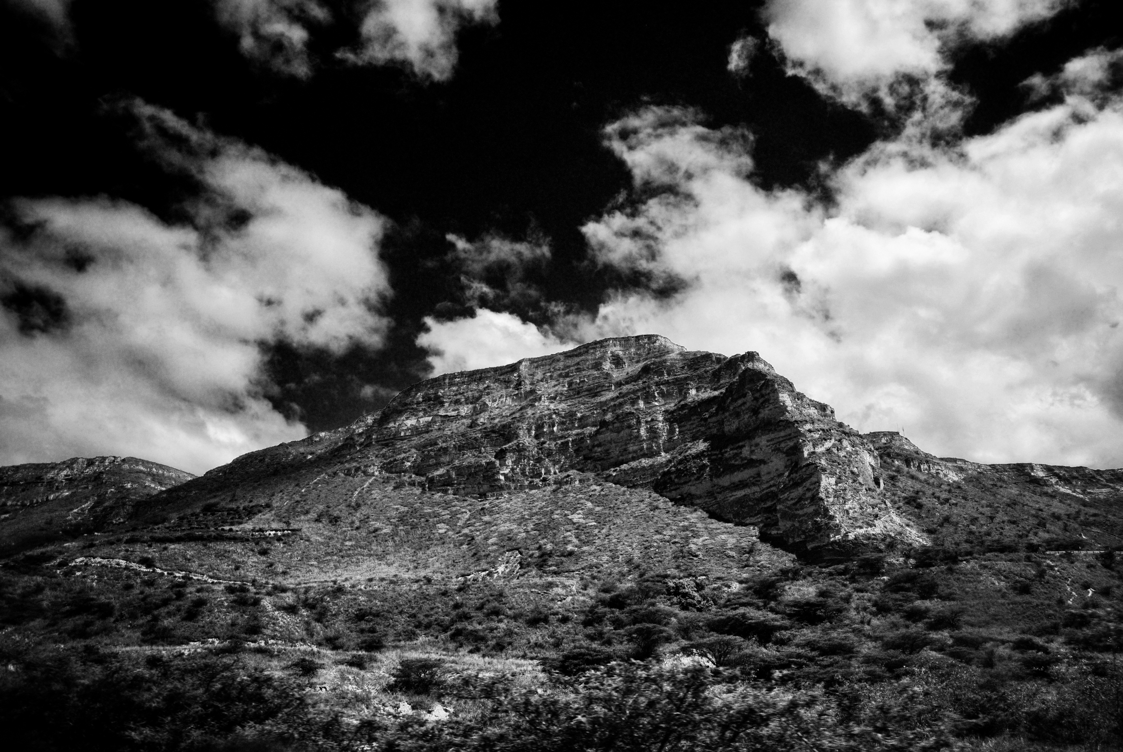 DSC_0647-02-01.jpeg