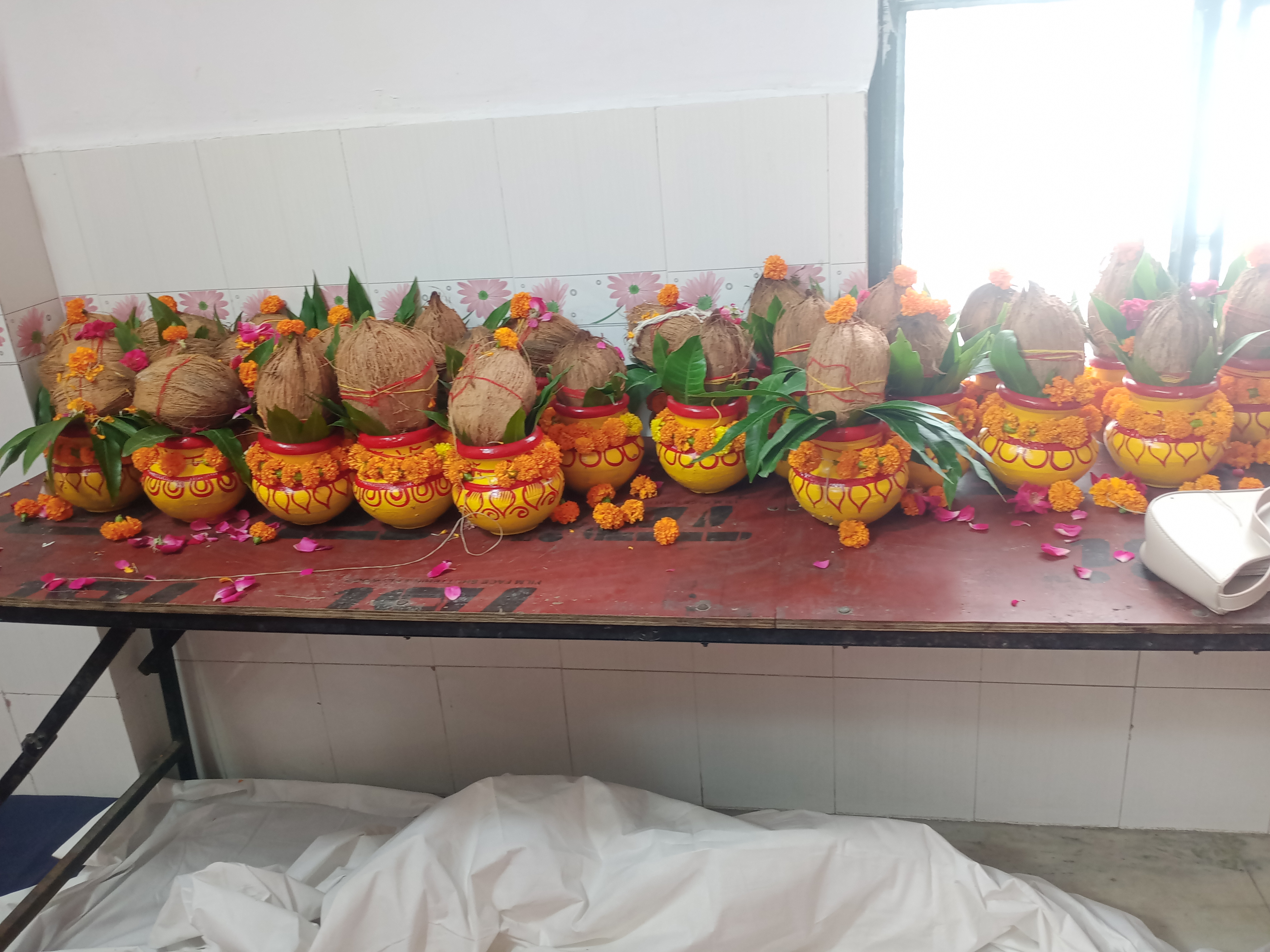 IMG20260803145158.jpg