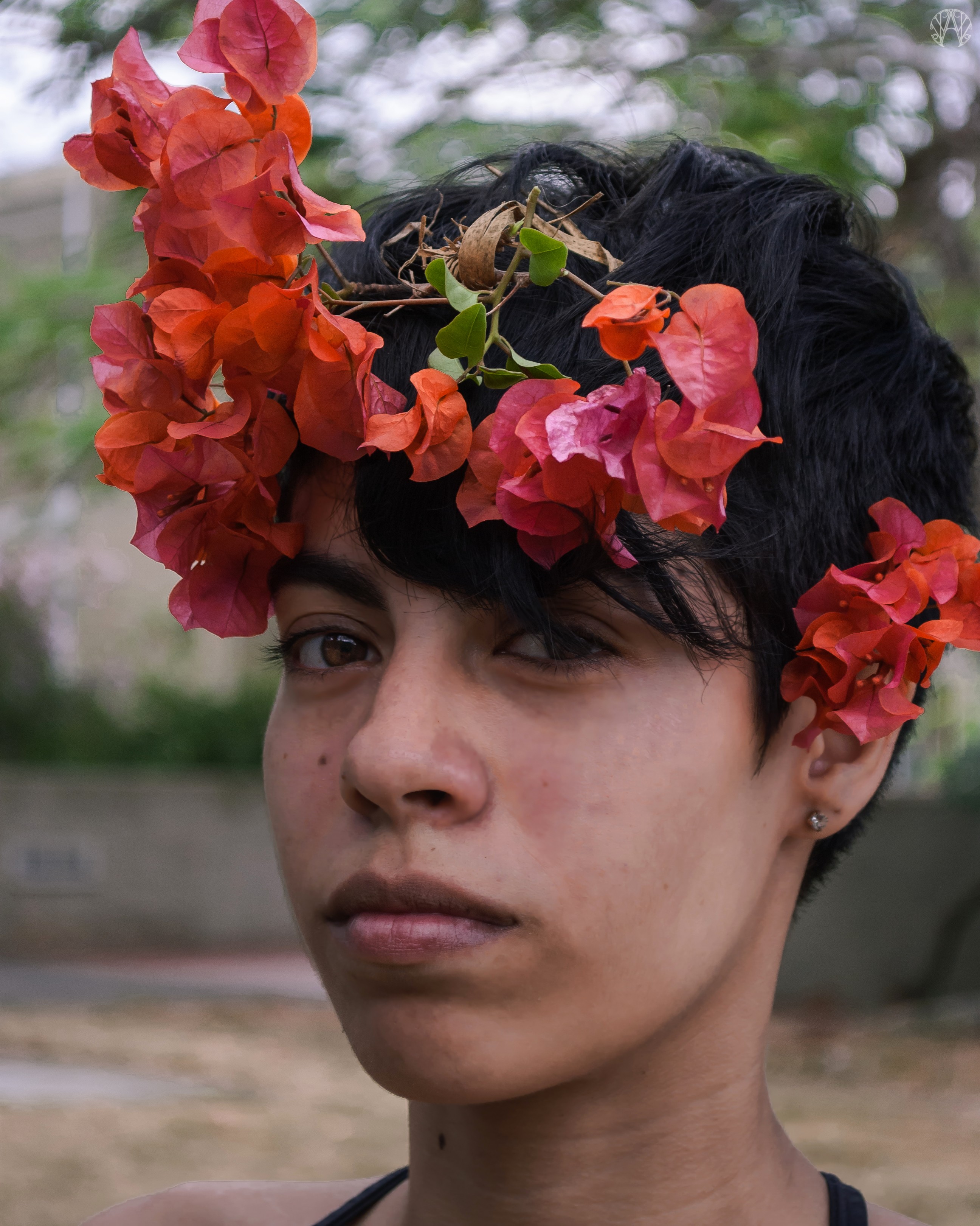 DSC_0356.jpg