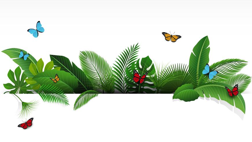 sign-with-text-space-of-tropical-leaves-and-butterflies-suitable-for-nature-concept-vacation-and-summer-holiday-vector-illustration.jpg