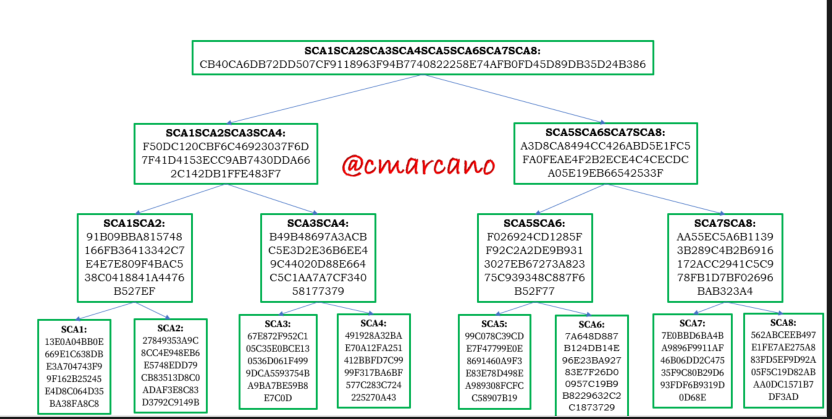 sca_arbol completo.png