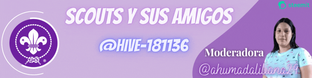 Banner ahumadaliliana29(3).gif