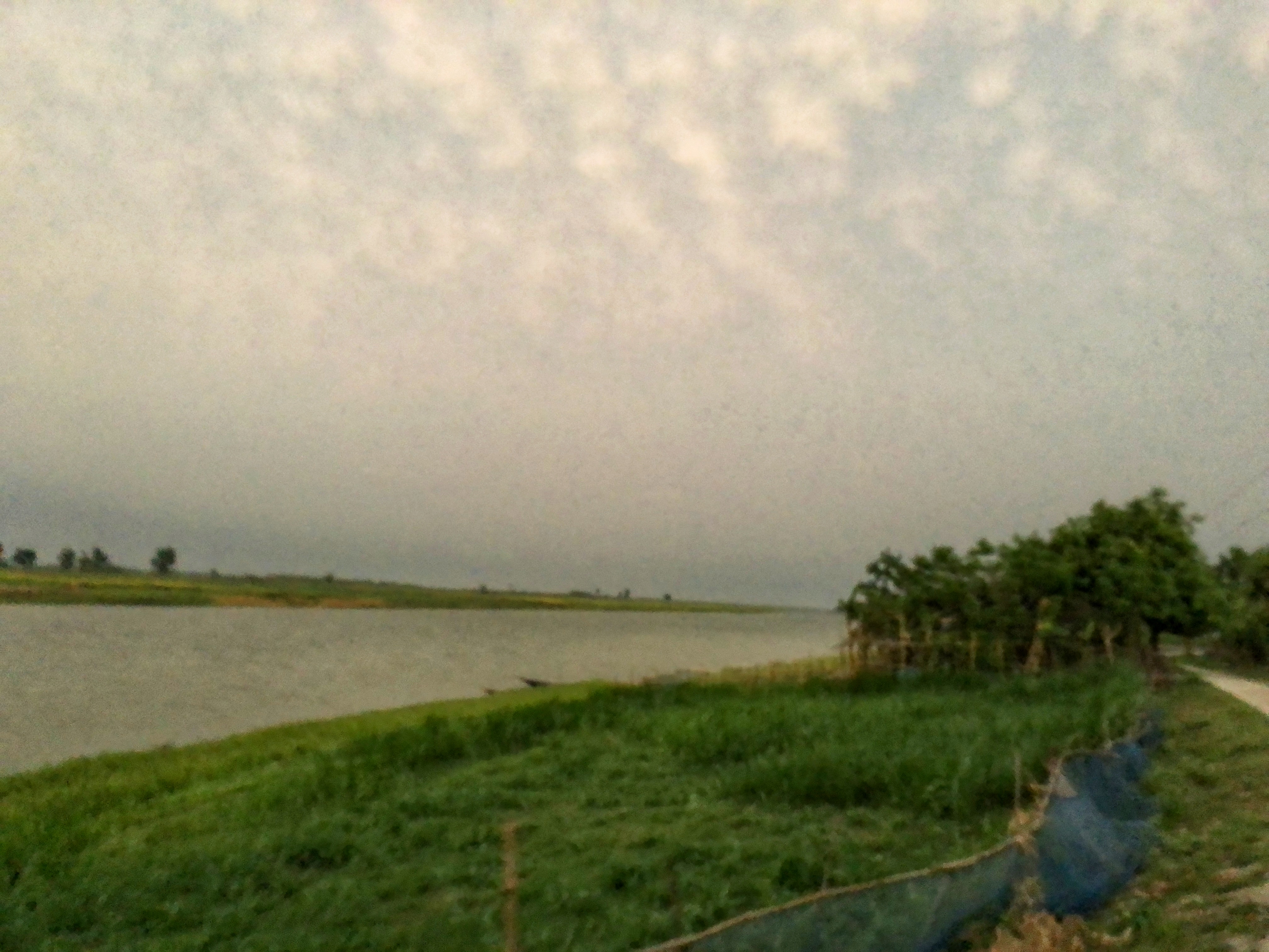 19952.jpg