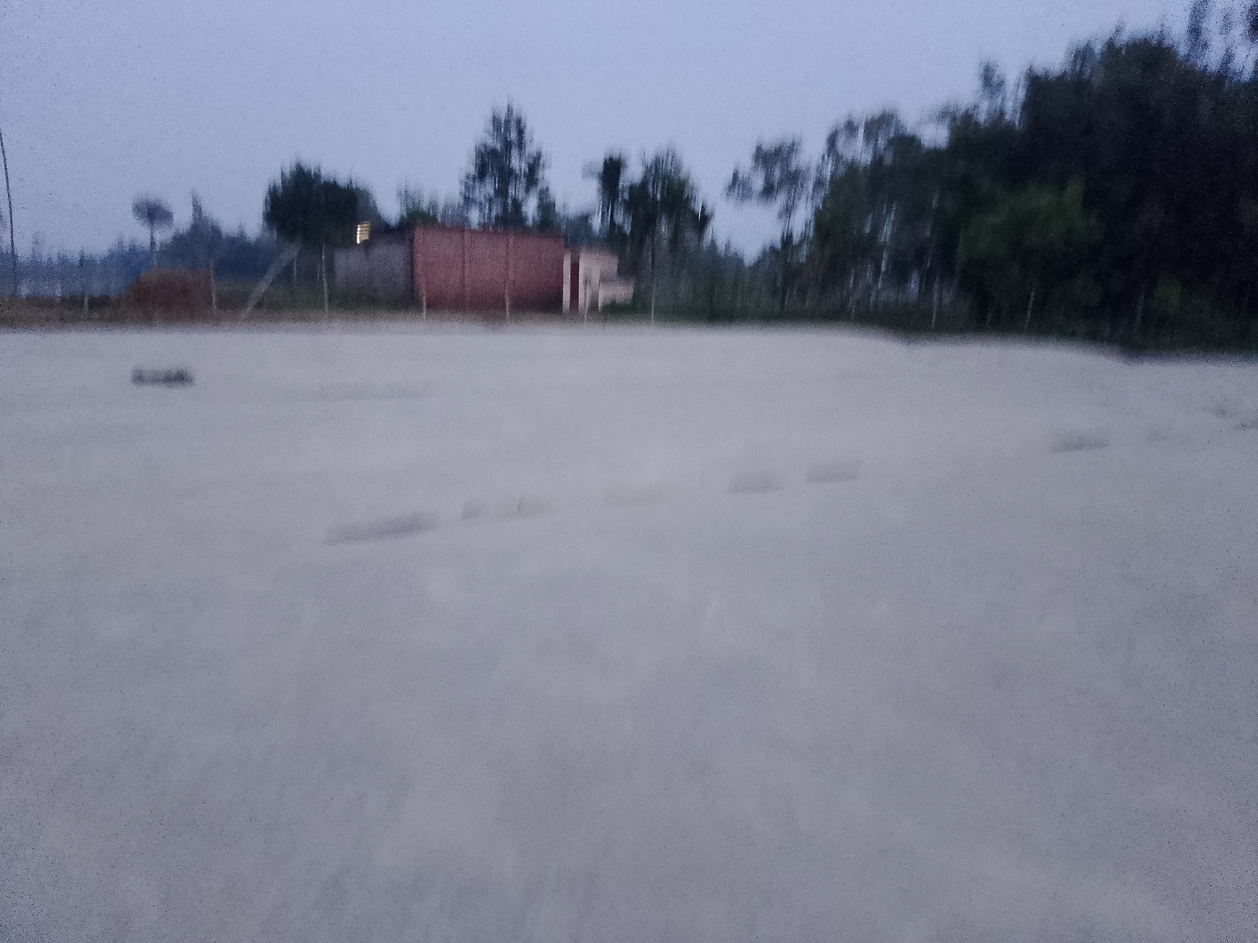 1000068309.jpg