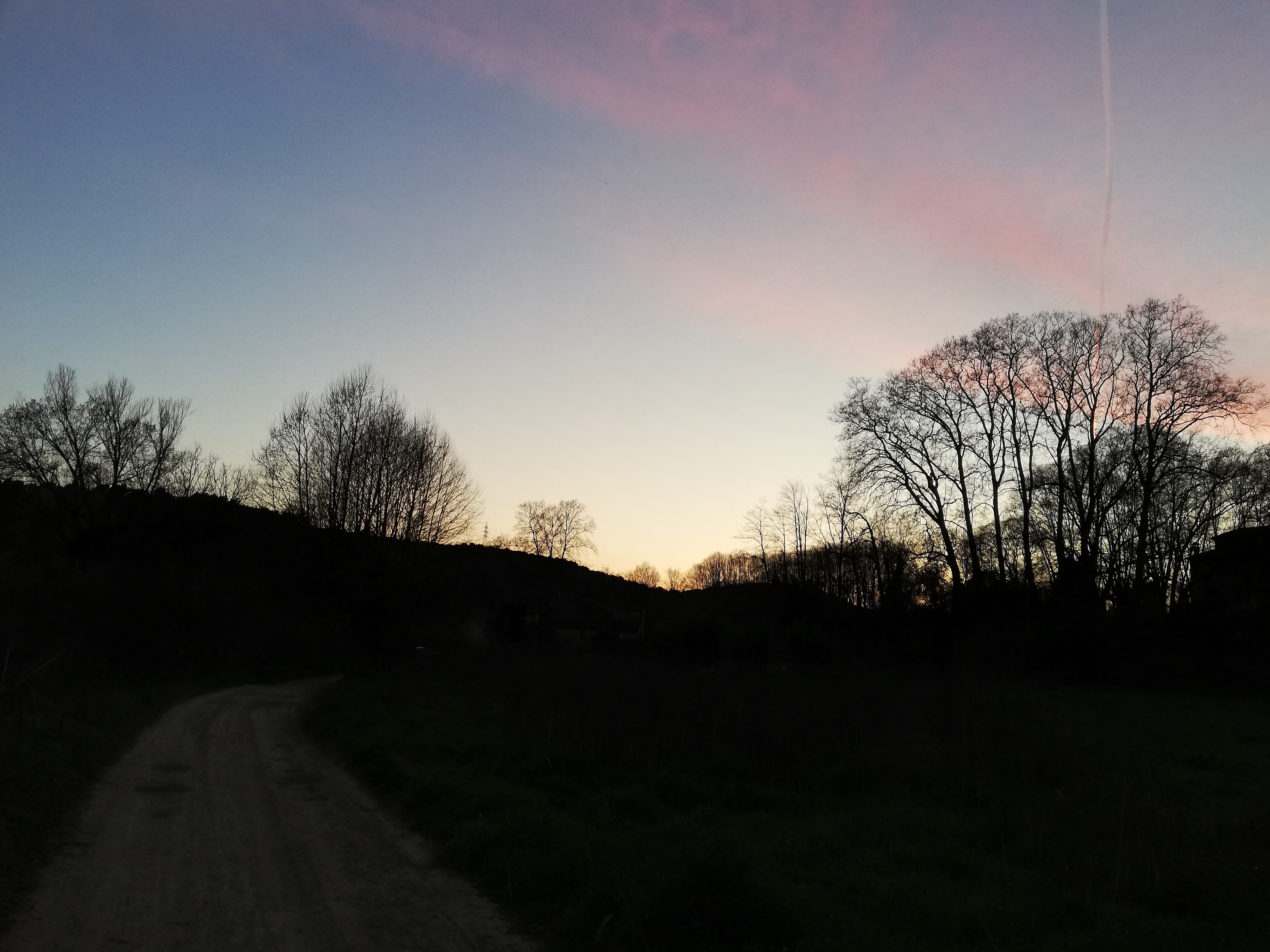IMG_20210315_190820.jpg