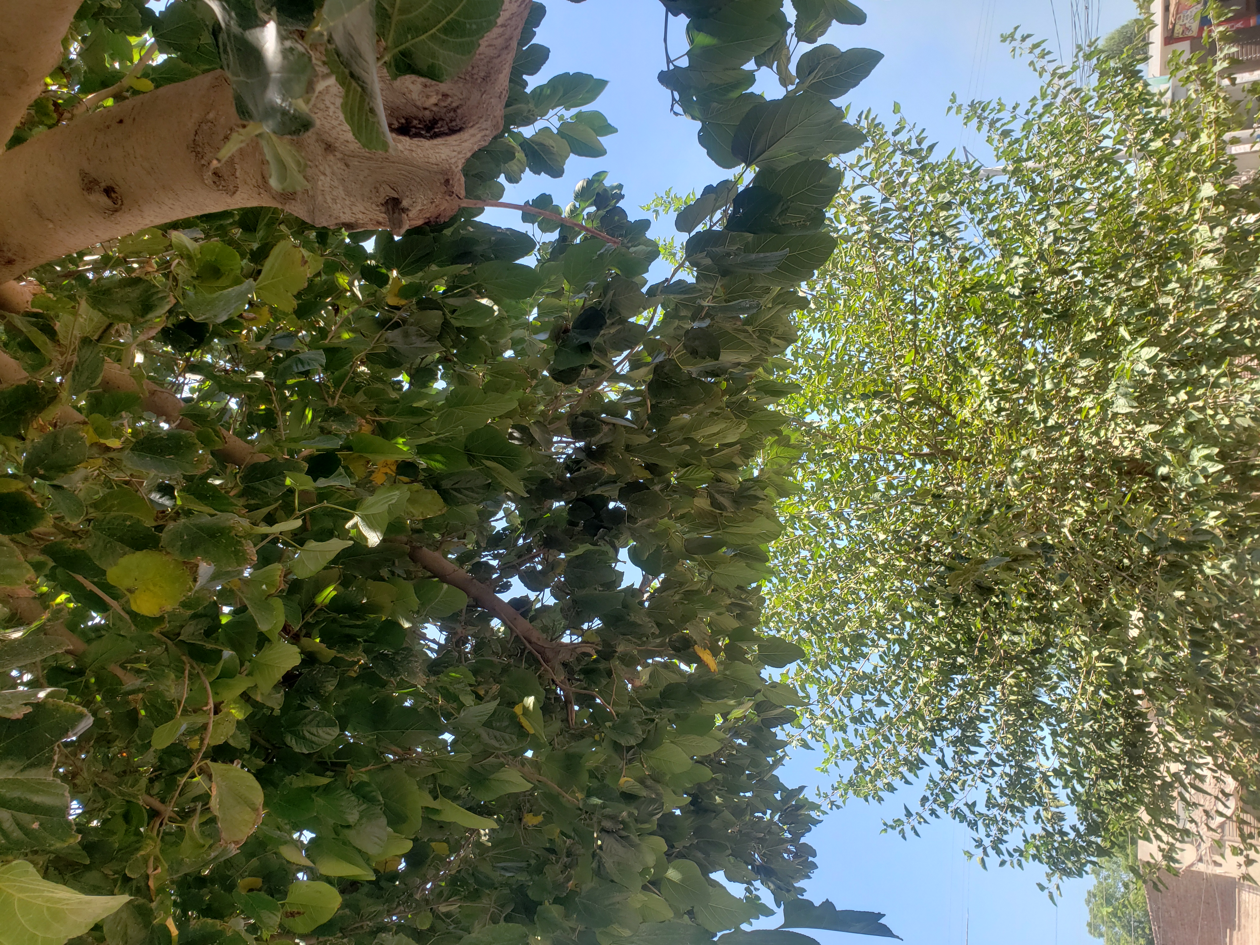 20210915_113906.jpg