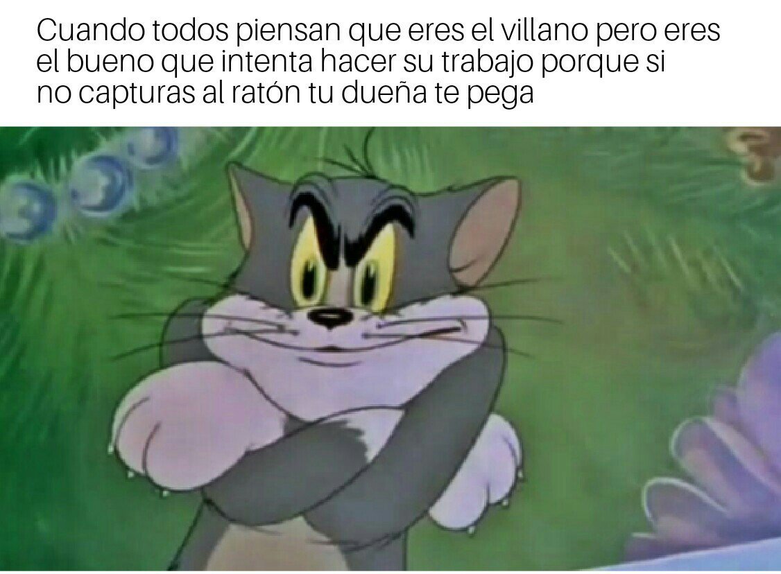 3AF.jpg
