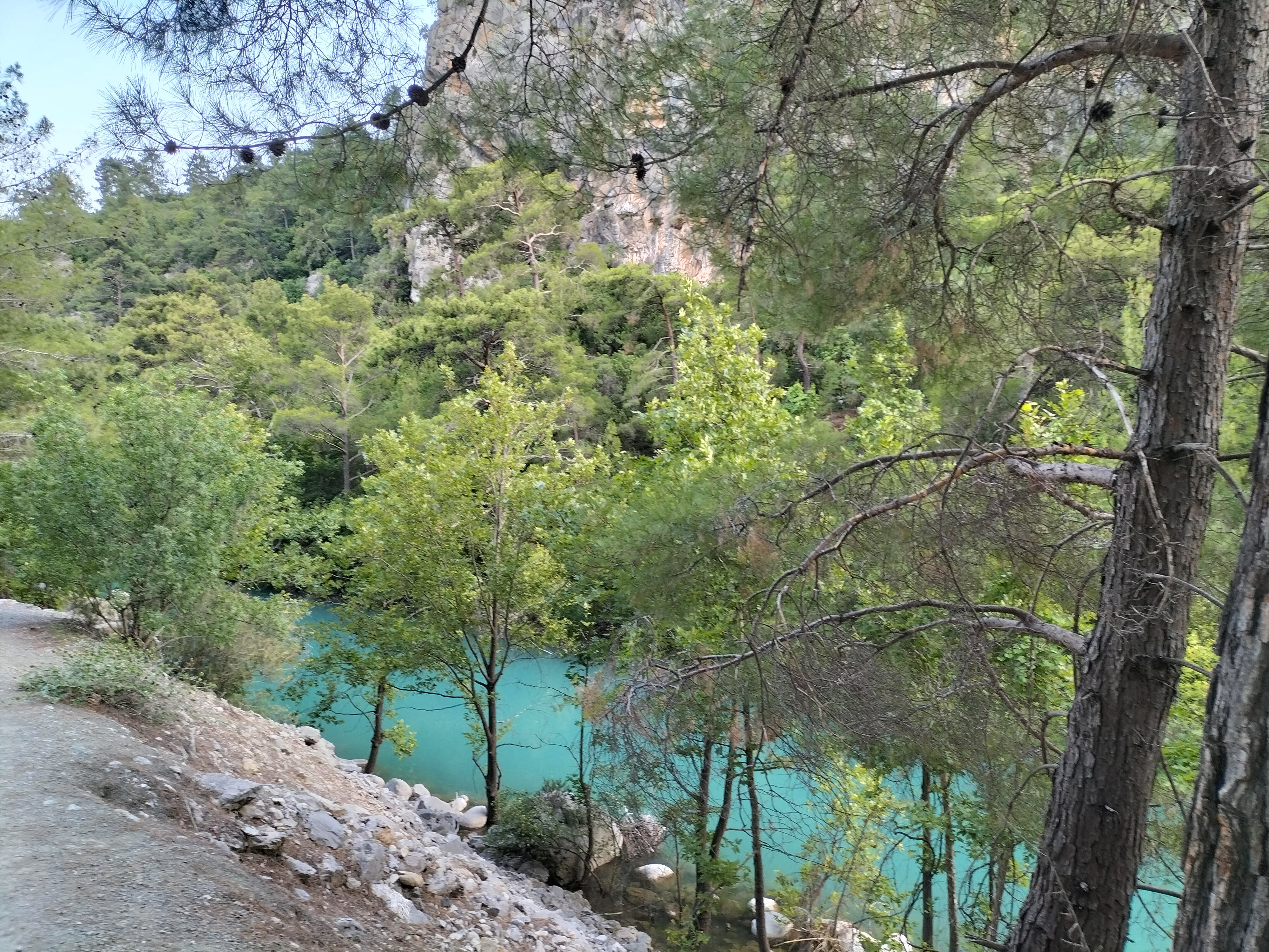 IMG20220625192413.jpg