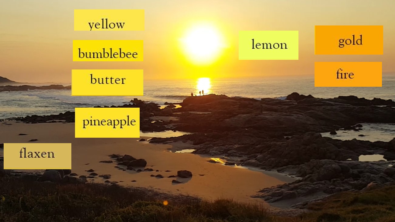 1color chart sunrise.jpg