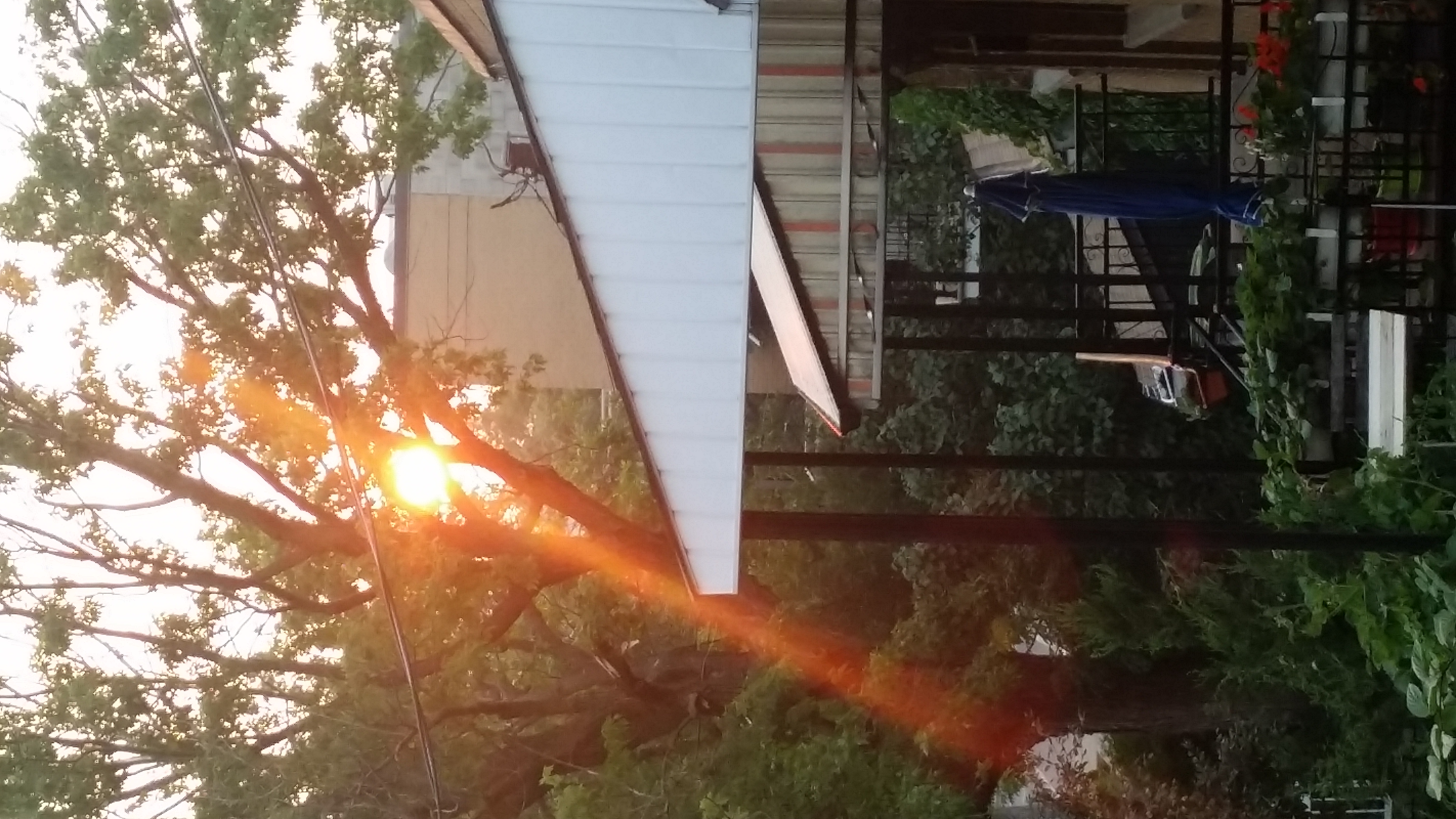 20230630_201549.jpg