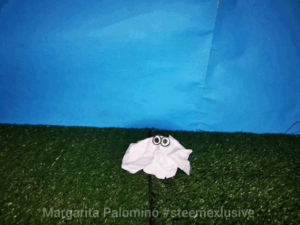 InShot_20220523_222543042 (2).gif