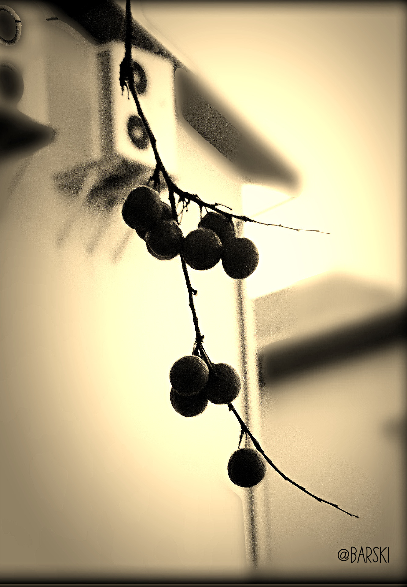 2013-01-06-08-44-16.jpg
