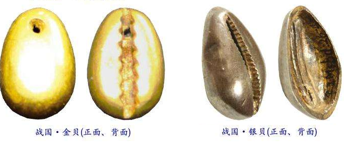 9796B805-9A74-4669-8BAC-2FBA1A23FB9A.png