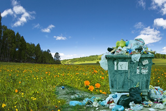 pollution-3441119_640.jpg