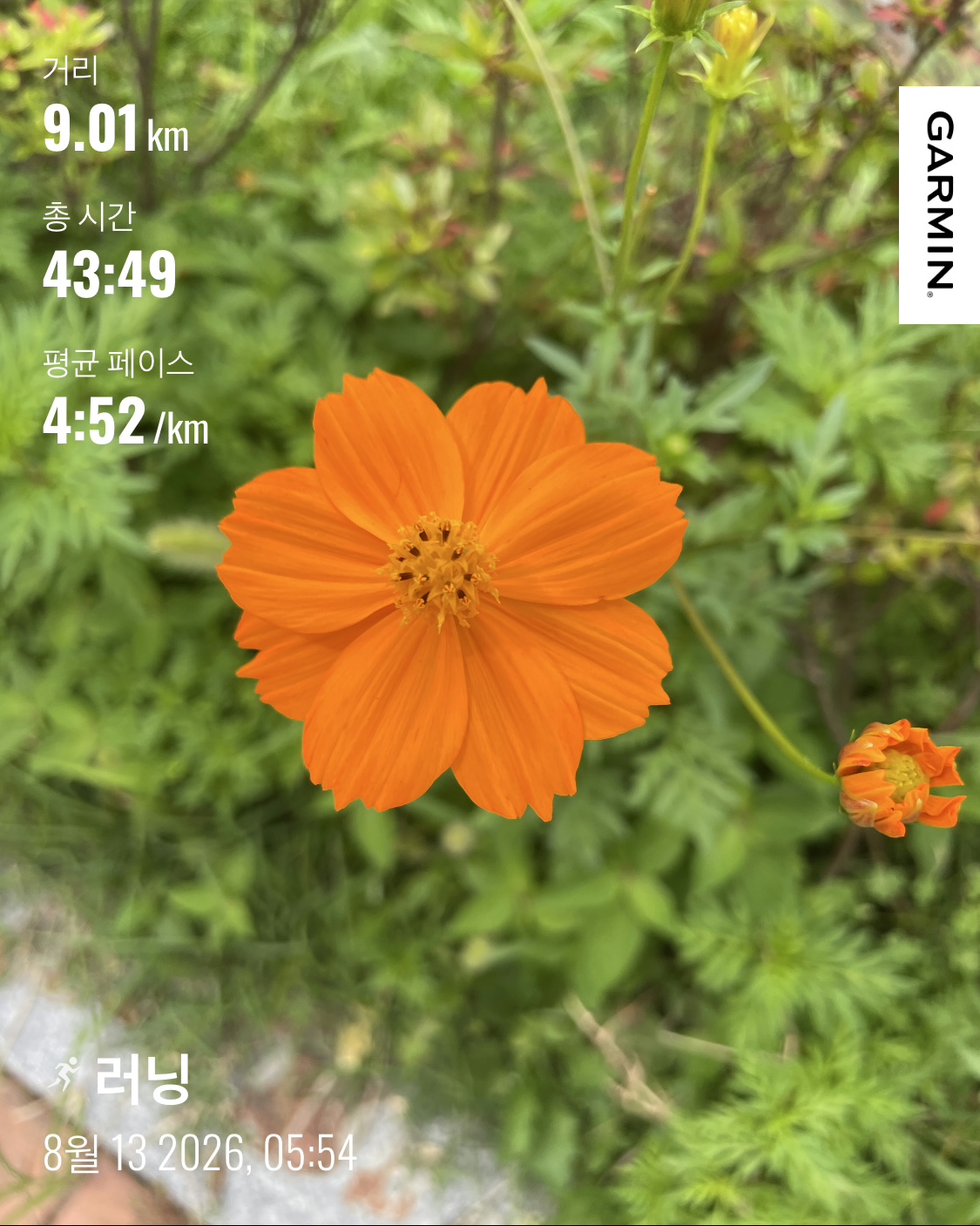 KakaoTalk_20260813_103645946.jpg