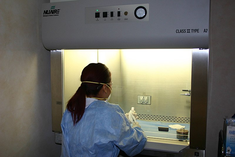 800px-Mixing_the_medications_at_the_laminar_flow_cabinet.jpg