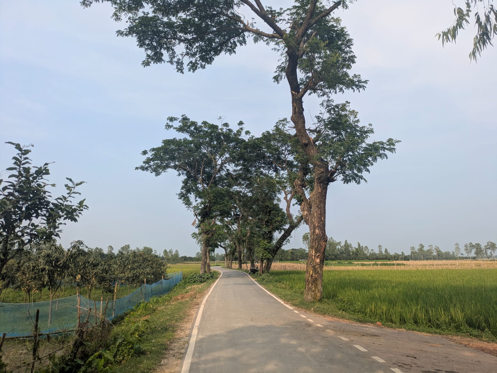 1000121383.jpg