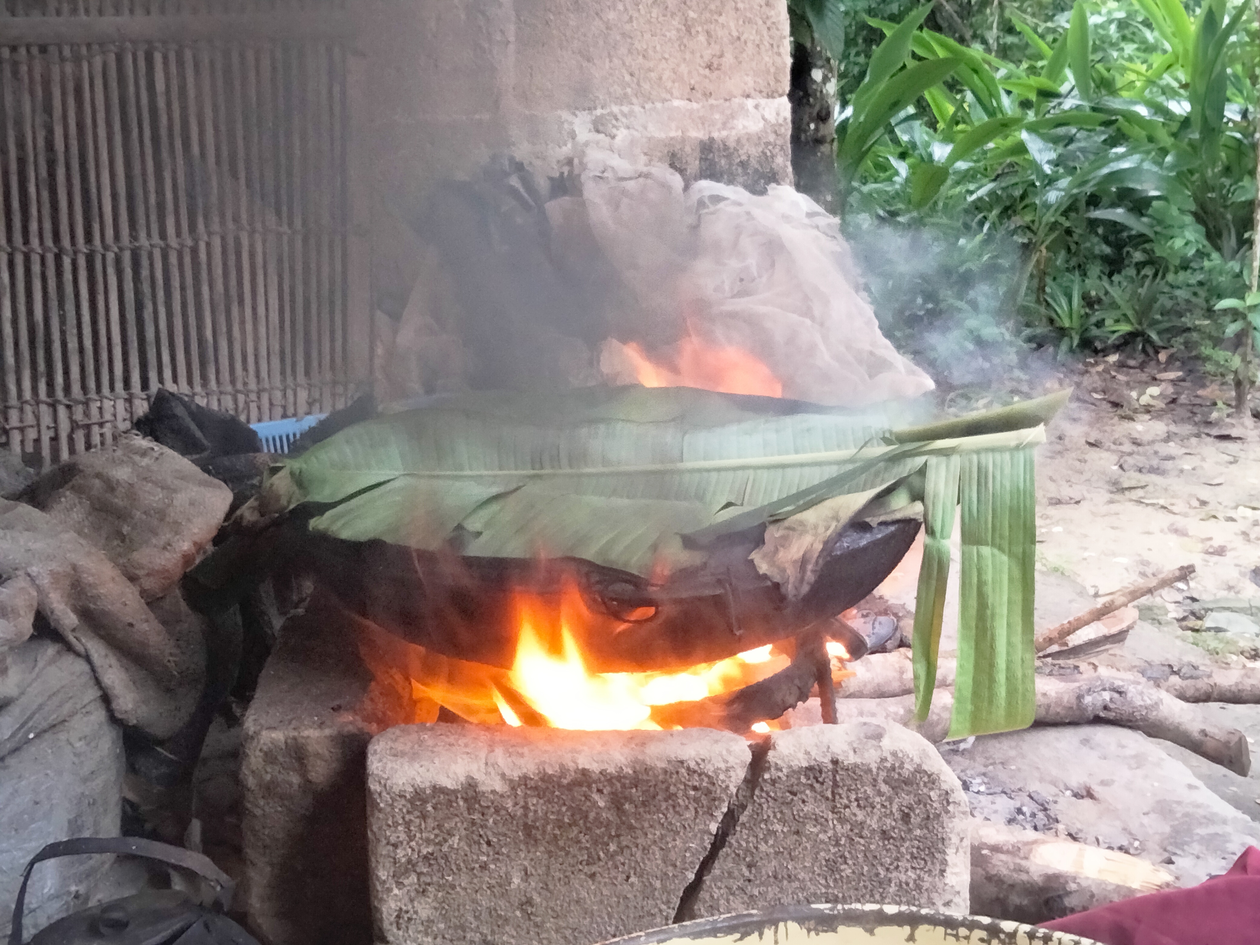 IMG20250809081255.jpg