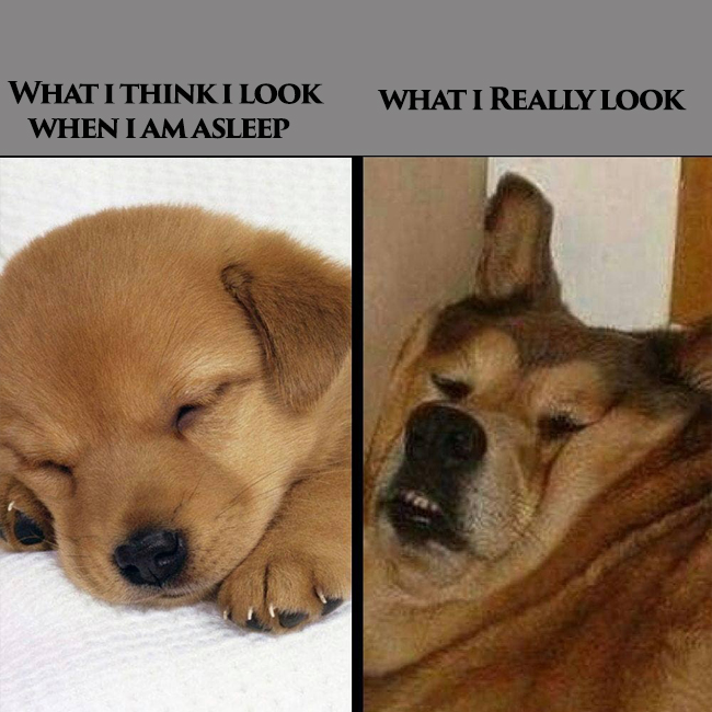 look.jpg